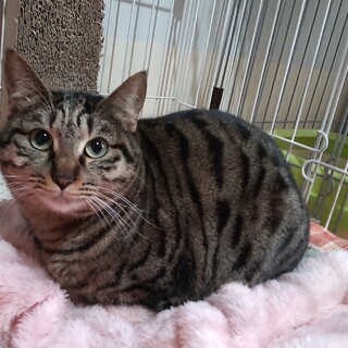 丸い目がキュートな大人しい女の子♡