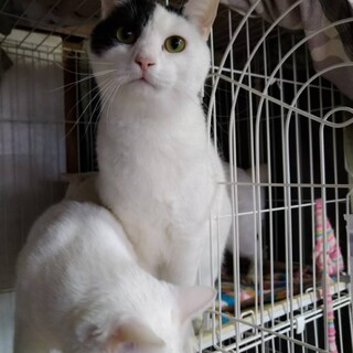 ありがとうございました★ななめカットの　ひなたくん