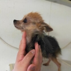 「22.03.23 嬉しいことがありました」サムネイル2