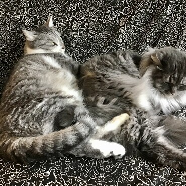 なんだかんだ仲良し