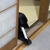 もぐもぐ
