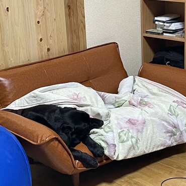 特等席