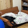 特等席