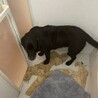 ひと苦労