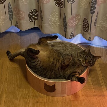 の写真