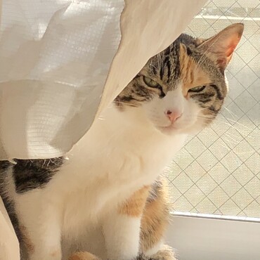 ん？