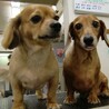 ミッキー&セブン