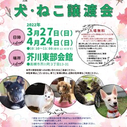 NPO法人アニマルはにまる高槻による犬・猫譲渡会