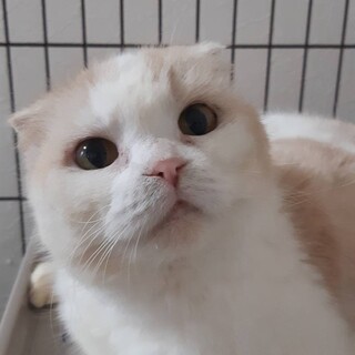 いつもゴロゴロスリスリ