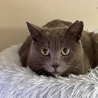 【4/10東銀座】いまるちゃん9ヶ月半♪