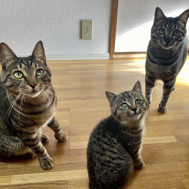 相鉄のカバー写真