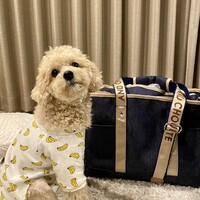 田中タル