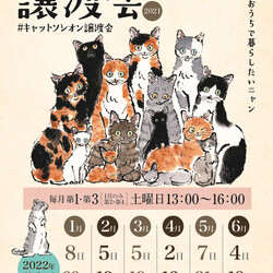 キャットソシオン譲渡会＊第126回＠都島駅徒歩4分
