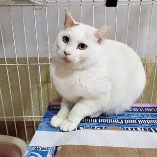 【動画】交通事故にあいましたが回復した女の子