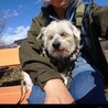 一般多頭飼育崩壊からの保護 サムネイル2