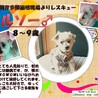 一般多頭飼育崩壊からの保護 サムネイル3