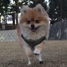 前丸さん