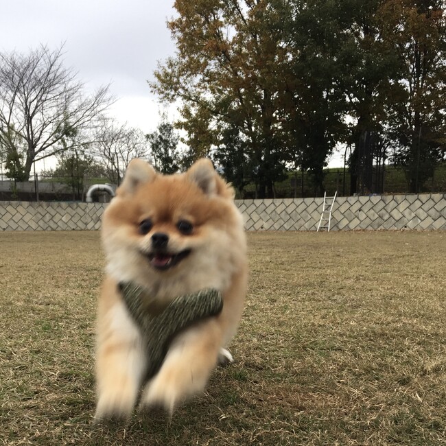 前丸のカバー写真