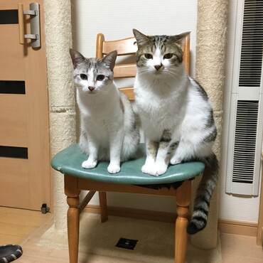 立派に成長した息子とその母