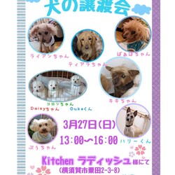 譲渡会 サムネイル1