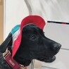 むぎの父さん