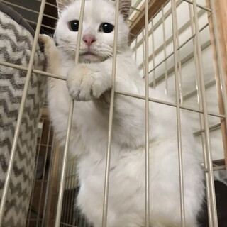 ありがとうございました！