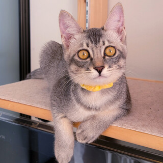 性格ハナマル♡人が大好き♡甘えん坊さん