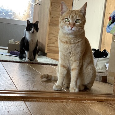 チャイさんと久々にツーショット