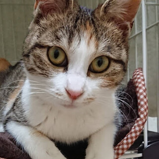 お話合い中、一旦募集停止します。