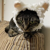 ちくわ