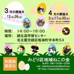 名古屋市緑区猫の譲渡会