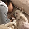 Chankun