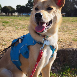 「ゆず」男の子