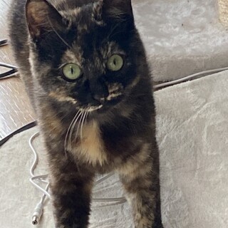 人懐っこくて甘えん坊な女の子♪