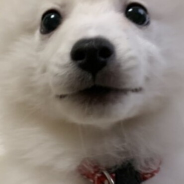 の写真