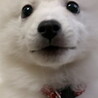 の写真