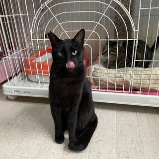 人馴れ修行頑張ってます