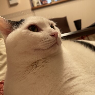 の写真