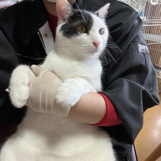 ありがとうございました★ななめカットのひなたくん