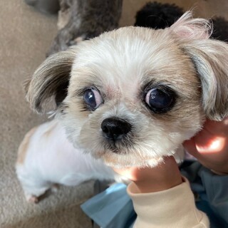 おっとりマイペース、ヨシコちゃん♪