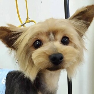 徳丸（とくまる）お顔も性格も優しい男の子！