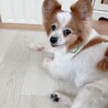 の写真