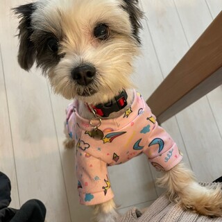 「マリン」女の子