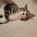 個性的な甘え方のフクコさん