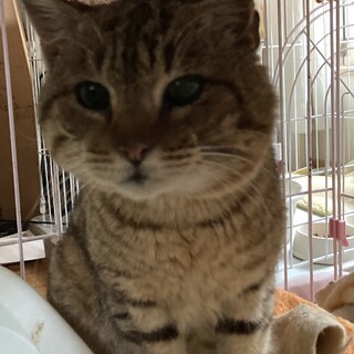 ハンデを持っていても、元気だよ！　ニーナ