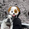 まだまだ元気なフレンチブルドッグ♂★13歳 サムネイル5