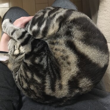 まんまる。