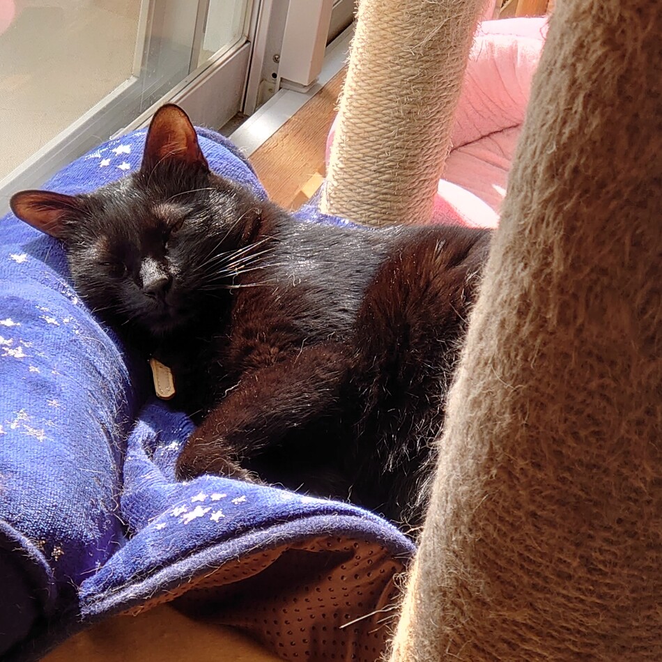 ひかりのカバー写真