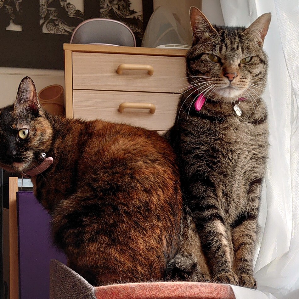 山城のカバー写真