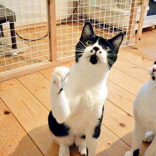 2021年7月生まれ。しるこくん